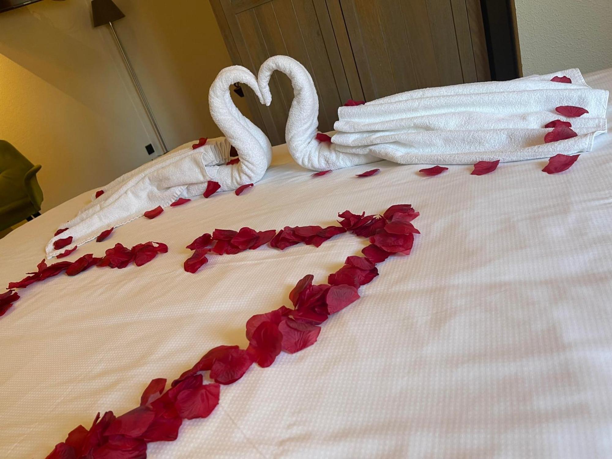 Lace Hotel 3*